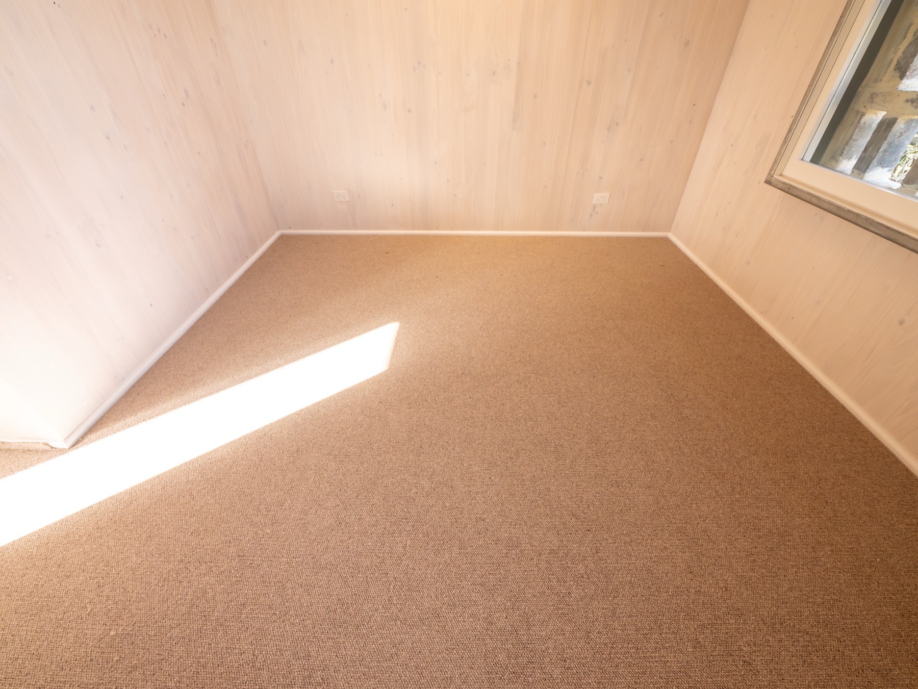 Photo from a Carpet Court content day